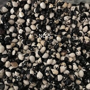 Yerli̇ Ayşe Kadin Sirik Fasulye Tohumu 100 Gr (si̇yah Beyaz)