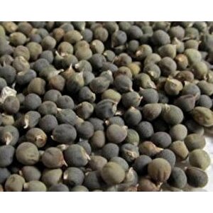 Yerli Bamya Tohumu 50 Gr Ort 750 Tohum