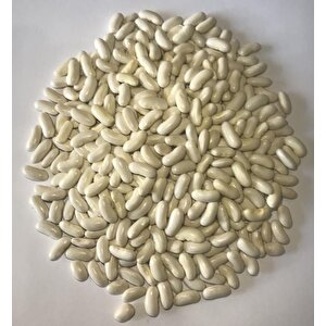 Yerli Ata Tohumu Oturak Horoz Fasulyesi 25 Gr