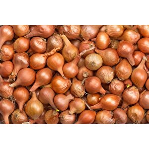 Yerli̇ Arpacik Soğan 6 Numara (500 Gr)