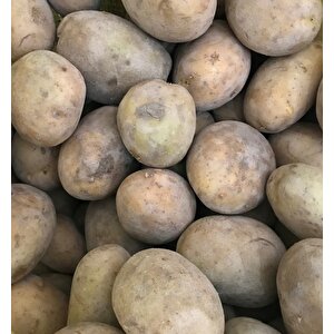 Melodi̇ Serti̇fi̇kali Tohumluk Patates 10 Kg