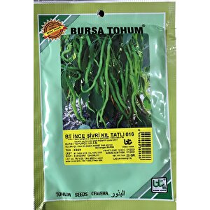 Bi̇ber Tohumu İnce Si̇vri̇ Kil Tatli (25 Gr Ort 3000 Adet Tohum)