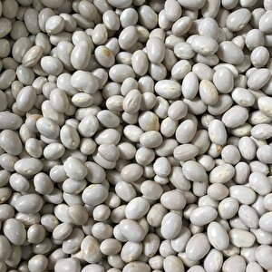 Yerli̇ Sirik Şeker Fasulye Tohumu 500 Gr