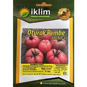 Oturak Pembe Domates Tohumu (nesli̇şah F1) 20 Adet Tohum