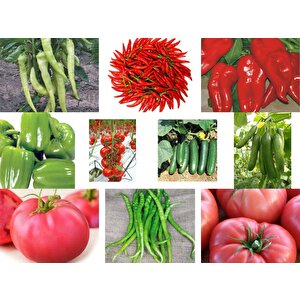 Yerli 10 Çeşit Sebze Tohumu Seti Ort 625 Ad Tohum+gübre - Mix 3
