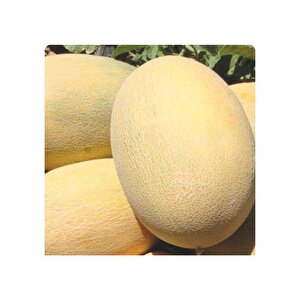 Yerli Ananas Kavun Tohumu 10 Gr (ort 200 Tohum)