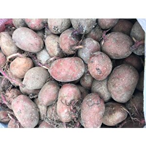 Yerli Erkenci Kırmızı Tohumluk Patates 5 Kg