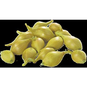 Yerli̇ Arpacik Soğan 3 Numara (500 Gr)