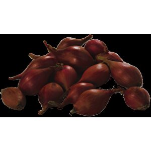 Yerli̇ Arpacik Soğan 3 Numara (500 Gr)
