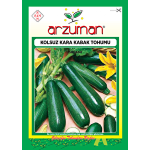 Kolsuz Kara Kabak Tohumu 10 Gr Ort 75 Ad Tohum