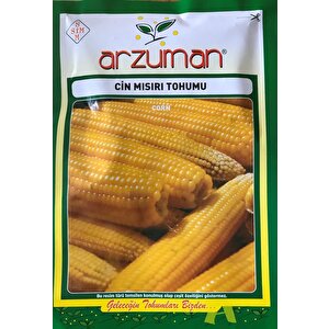 Patlayan Misir (ci̇n Misir) Tohumu 25 Gr