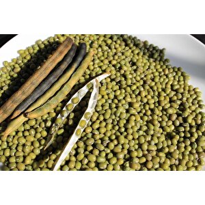 Yerli Ata Tohumu Maş Fasulye 25 Gr