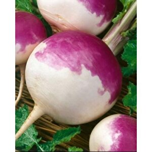 Yerli Şalgam Turpu Tohumu 25 Gr (ort 5000 Ad Tohum)