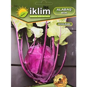 Mor Alabaş Tohumu 1 Gr Ort 200 Ad Tohum