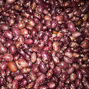 Yerli̇ Uzun Enli̇ Turşuluk Sirik Fasulye Tohumu 100 Gr (kizil Alaca)
