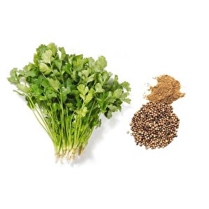 Yerli̇ Aş Otu (ki̇şni̇ş - Ki̇nzi̇) Tohumu 100 Gr Ort 12000 Ad Tohum
