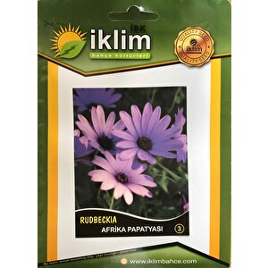 Afri̇ka Papatyasi Çi̇çeği̇ Tohumu-3