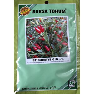 Bi̇ber Tohumu Burbi̇ye (süs Bi̇beri̇ Oval Aci) 25 Gr Ort 3000 Adet