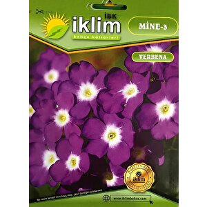 Mi̇ne Çi̇çeği̇ Tohum-3 Mor-beyaz (takri̇bi̇ 40 Adet Tohum)