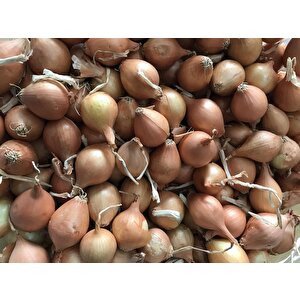 Yerli Arpacık Soğan Kıska 6 Numara 5 Kg