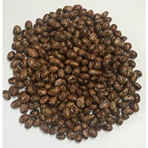 Yerli Ata Tohumu Sırık Uzun-enli Erken Turşuluk Fasulye 25 Gr (alacalı)