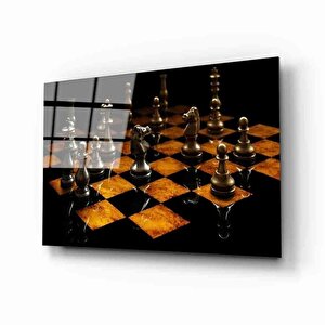 EOL 50x70 cm
