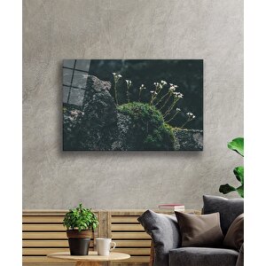 EOL 90x60 cm