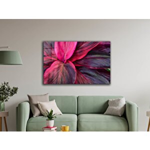 EOL 50x70 cm