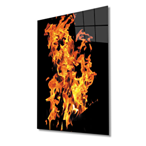 EOL 50x70 cm