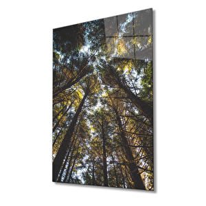 EOL 50x70 cm