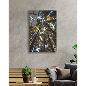 EOL 50x70 cm
