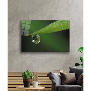 EOL 90x60 cm