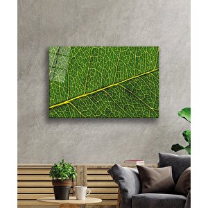EOL 110x70 cm