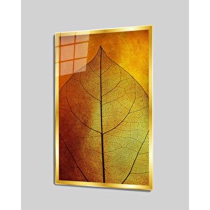 EOL 50x70 cm