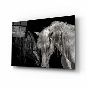 EOL 50x70 cm