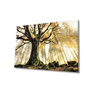 EOL 50x70 cm