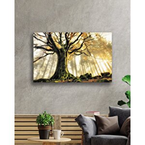 EOL 50x70 cm