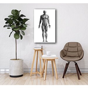 EOL 50x70 cm