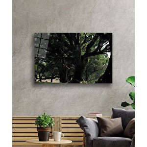 EOL 50x70 cm