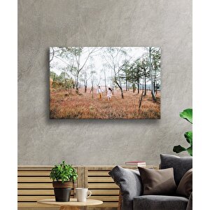 EOL 50x70 cm