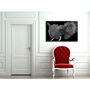 EOL 36x23 cm