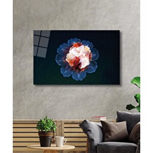EOL 50x70 cm