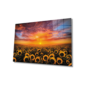 EOL 50x70 cm