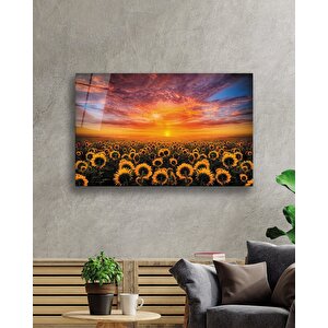 EOL 50x70 cm