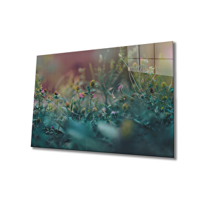 EOL 50x70 cm