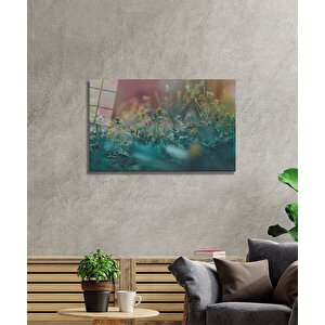 EOL 50x70 cm