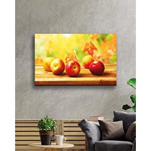EOL 50x70 cm