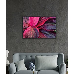 EOL 50x70 cm