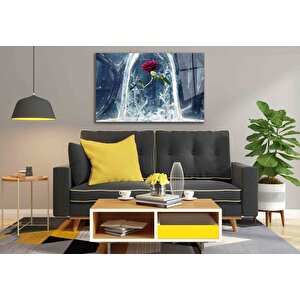 EOL 50x70 cm