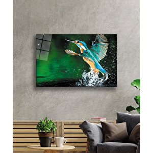 EOL 50x70 cm